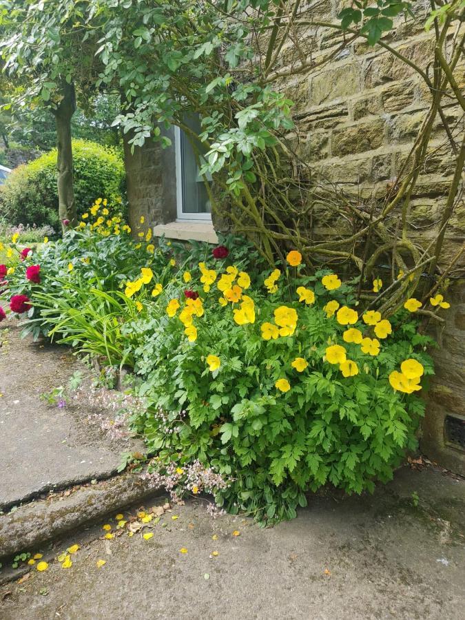Mayfield Cottage Burtree Ford Exterior photo